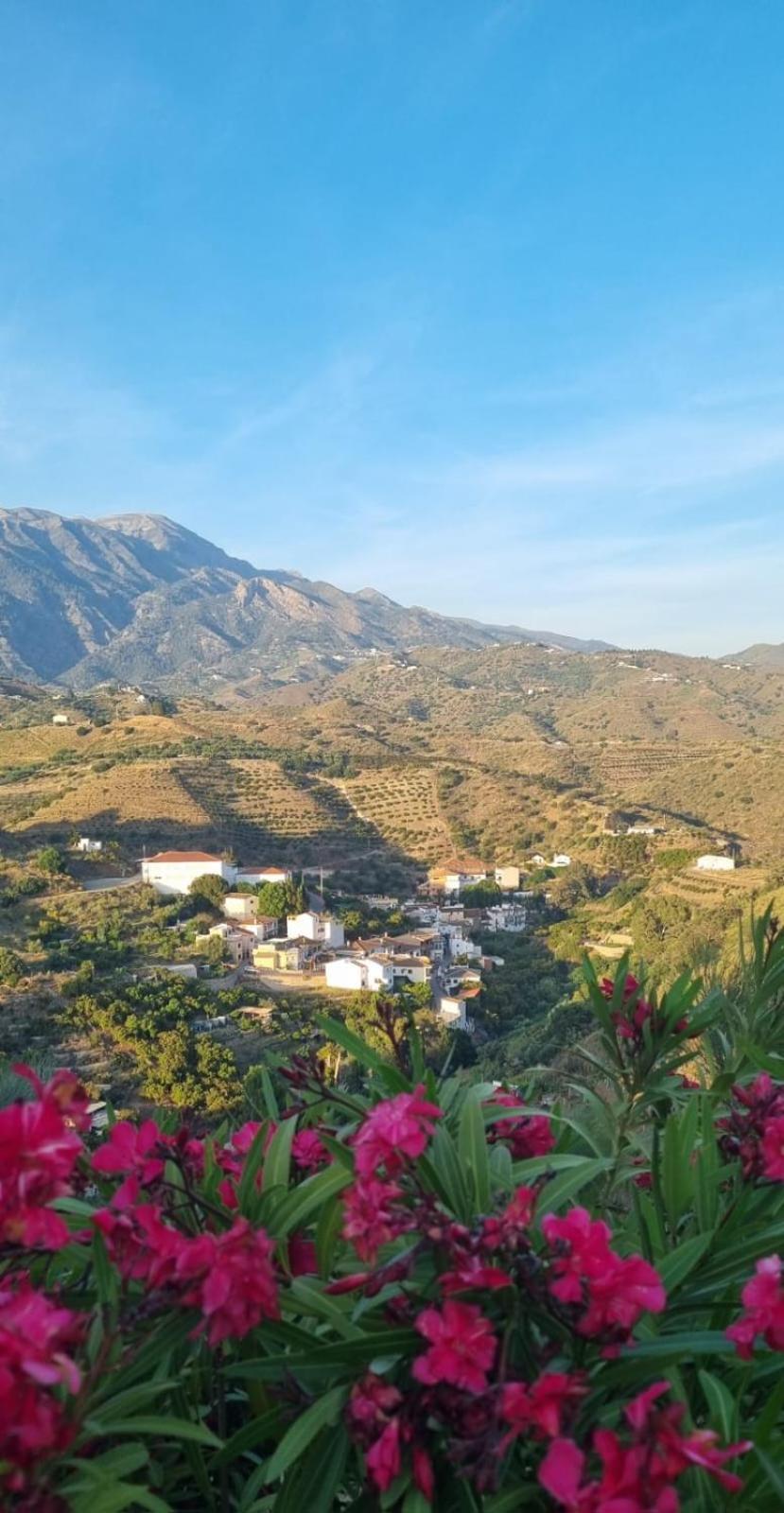La Vista Vinuela Acomodação com café da manhã Exterior foto